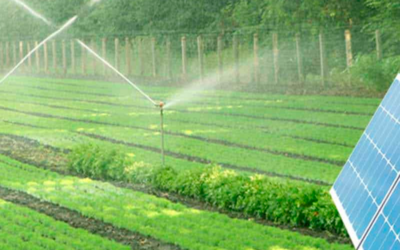 Aplicaciones y ventajas del bombeo solar en la agricultura