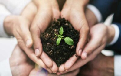 La importancia de los indicadores de sostenibilidad ambiental en la empresa